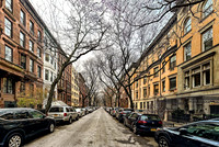 w87th st street trees