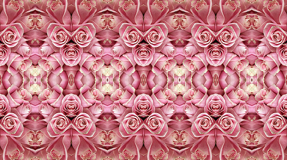 roses2