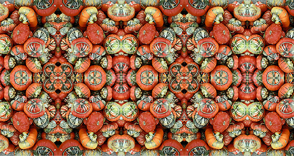 red punkins