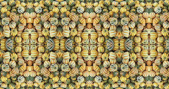 punkins2 copy